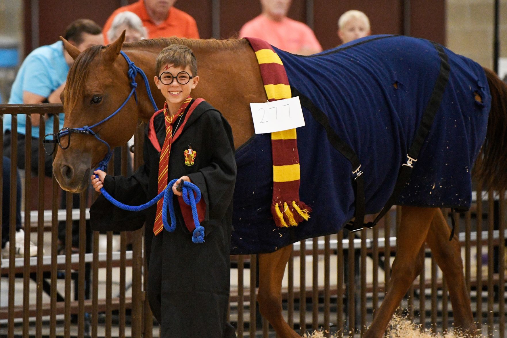 Animal Costume Parade